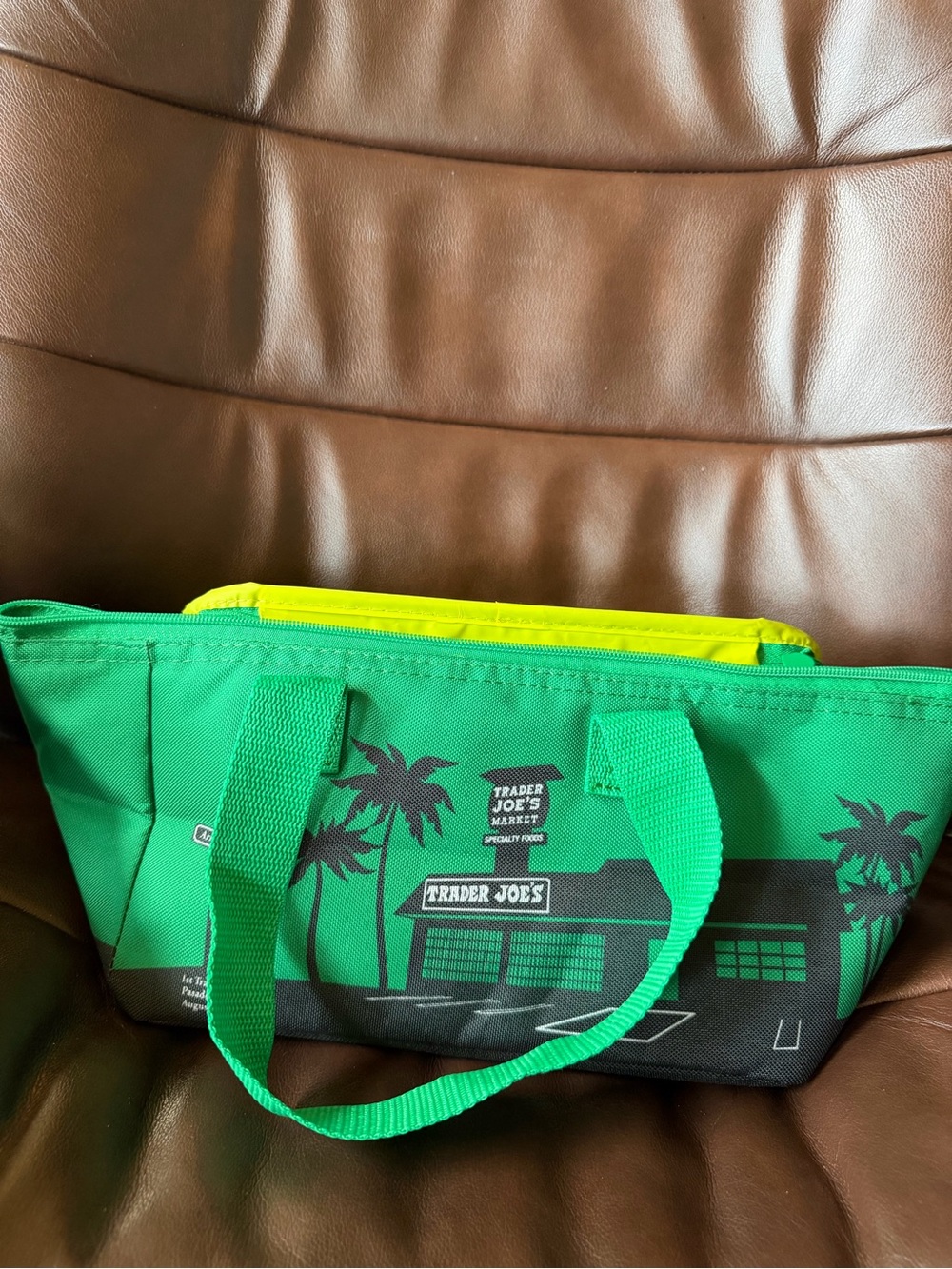 Trader Joe’s Limited Edition Emerald Insulated Mini Tote Bag